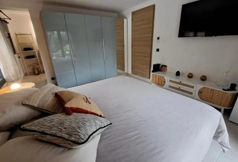 スタンダードルーム, Chambre De L Olivier