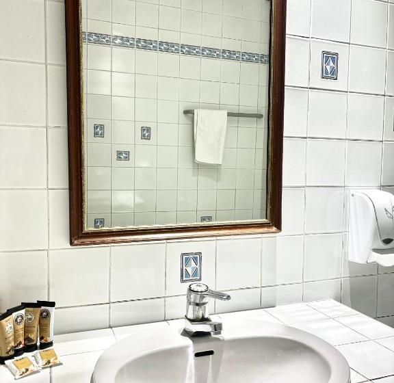 غرفة قياسية مطلة على الجبل, Hôtel Albert 1er