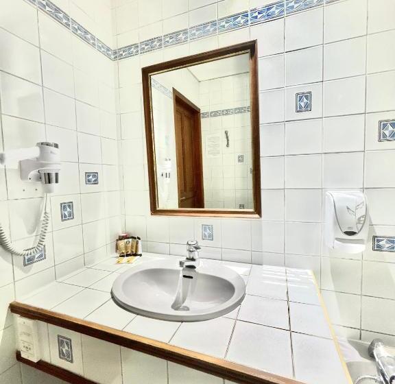 غرفة قياسية مطلة على الجبل, Hôtel Albert 1er