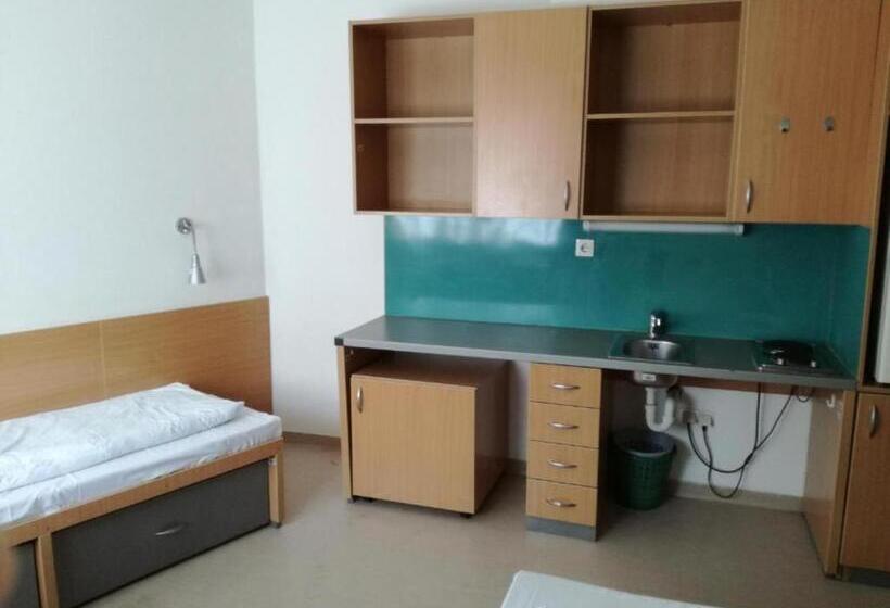 غرفة قياسية, Springfield Private Hostel