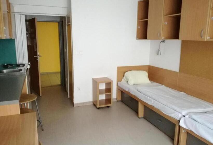 标准间, Springfield Private Hostel