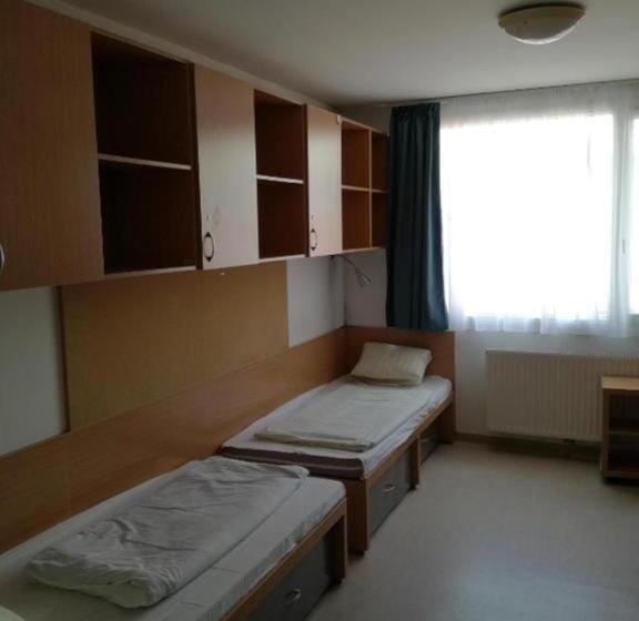 带共用浴室的标准房间, Springfield Private Hostel