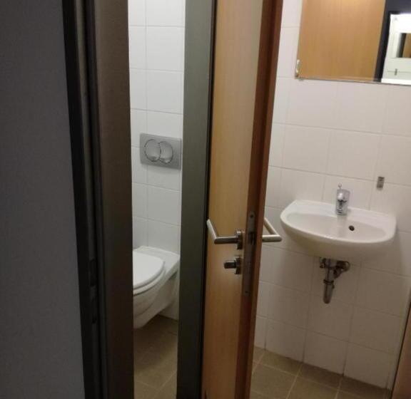 带共用浴室的标准房间, Springfield Private Hostel