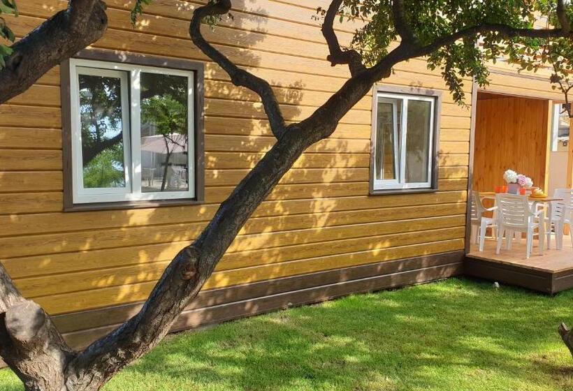 آپارتمان 1 خوابه با تراس, Zatokas Sun Club