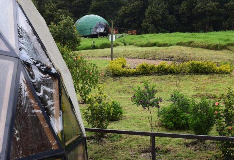 스탠다드 룸 킹사이즈 침대, Santuario Glamping