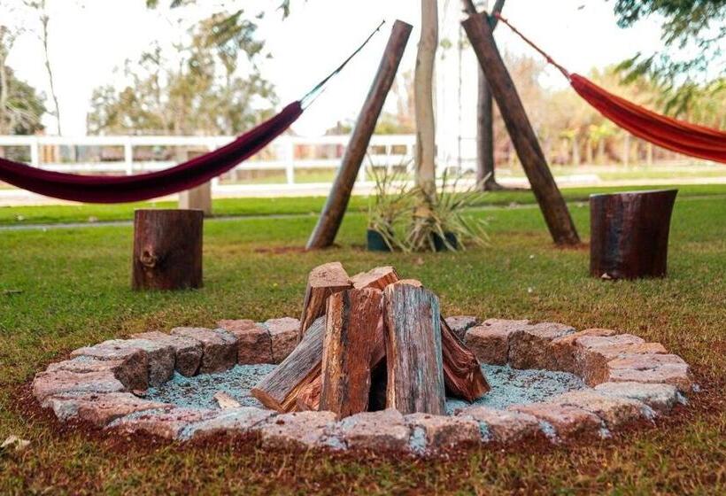 ガーデンビューのスタンダードワンルーム, Fazenda Em Itapetininga, Paz, Descanso E Piscinas