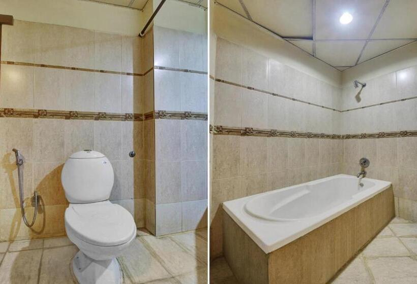 Трехместный Номер Классика, Flagship Asian Metro International Near Birla Mandir