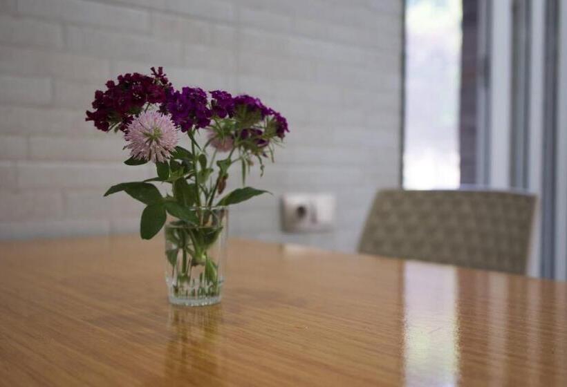 اتاق استاندارد, Nira