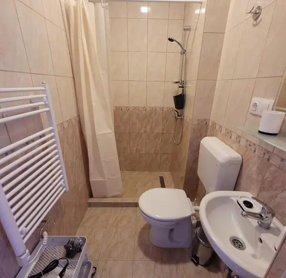 اتاق استاندارد با بالکن, Azta Central Apartments