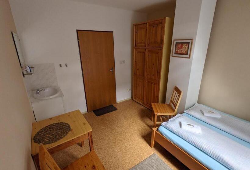 اتاق استاندارد با سرویس بهداشتی مشترک, Penzion Jezero