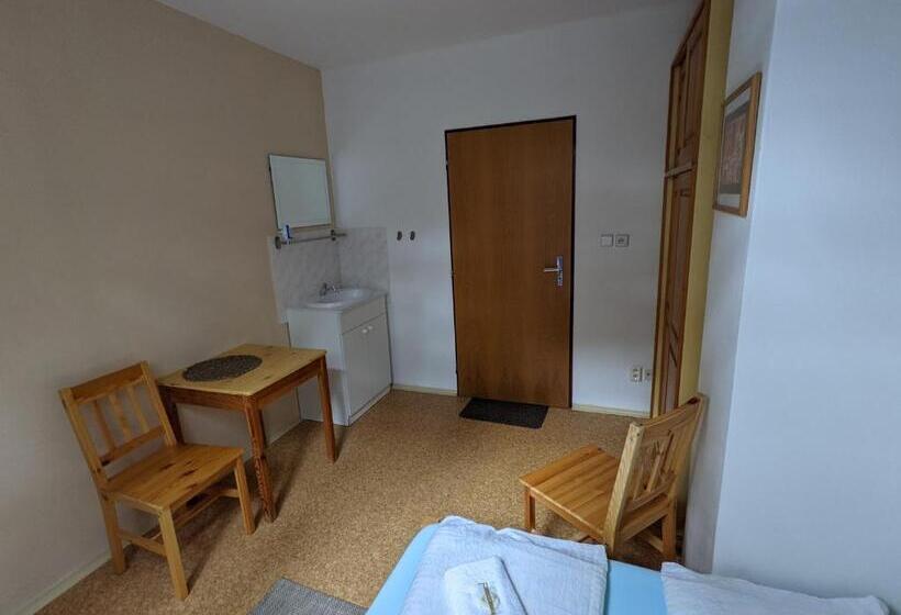اتاق استاندارد با سرویس بهداشتی مشترک, Penzion Jezero
