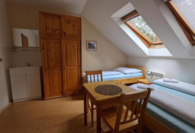 اتاق استاندارد چهارنفره با سرویس بهداشتی مشترک, Penzion Jezero