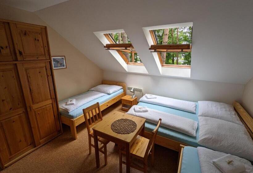 اتاق استاندارد چهارنفره با سرویس بهداشتی مشترک, Penzion Jezero