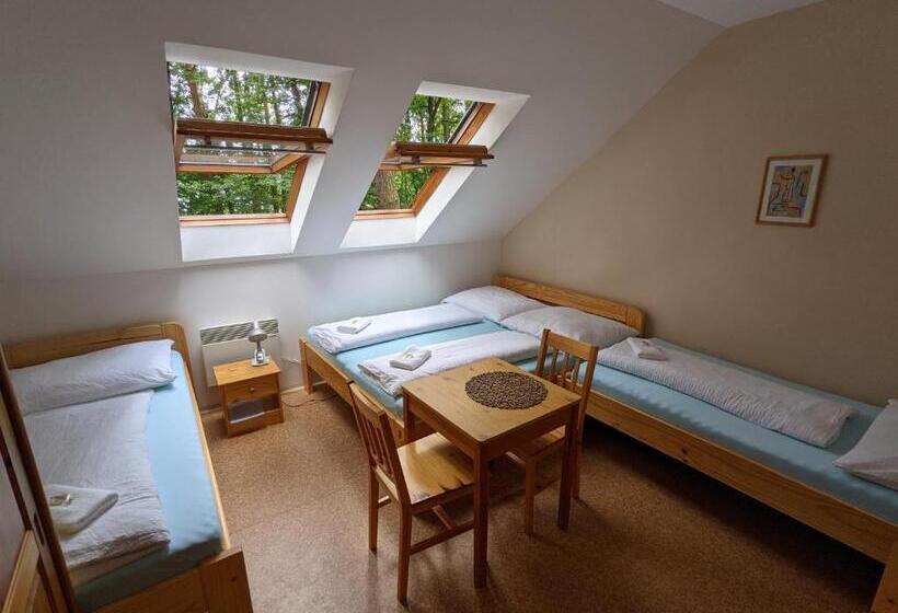 اتاق استاندارد چهارنفره با سرویس بهداشتی مشترک, Penzion Jezero