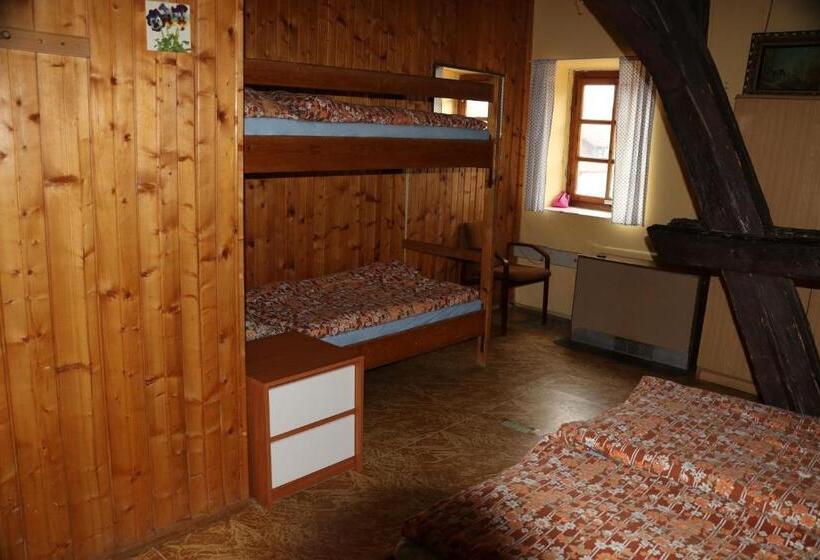 浴室共有スタンダード4人用ルーム, Tvrz Holešice Orlická Přehrada, Penzion