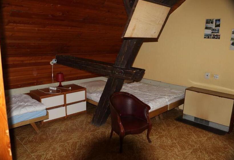 浴室共有スタンダード4人用ルーム, Tvrz Holešice Orlická Přehrada, Penzion