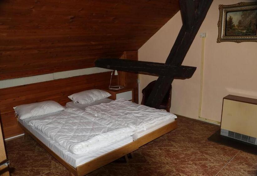 浴室共有スタンダード4人用ルーム, Tvrz Holešice Orlická Přehrada, Penzion