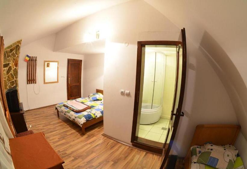 חדר סטנדרט לשלושה, Pensiunea Viorica