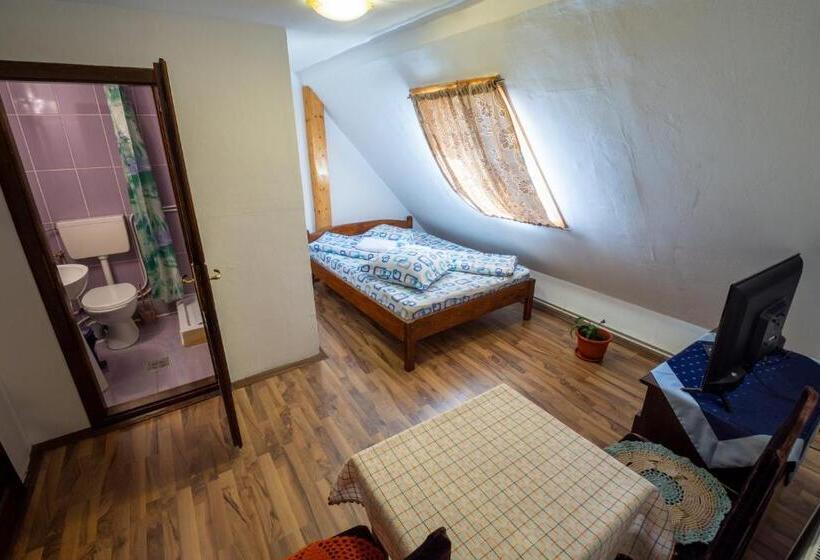 חדר סטנדרט, Pensiunea Viorica