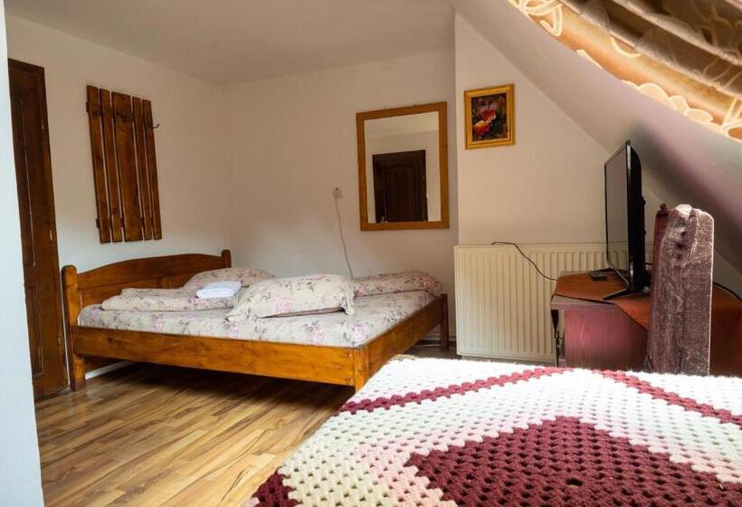 חדר סטנדרט, Pensiunea Viorica