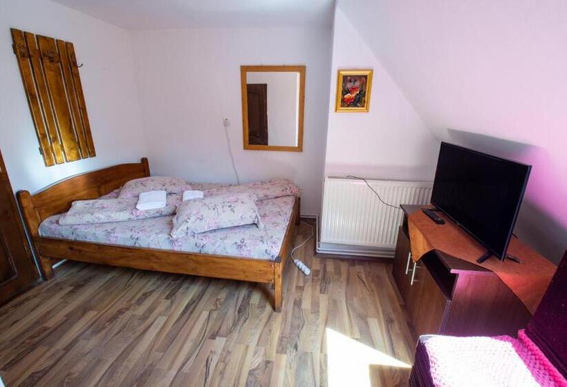 חדר סטנדרט, Pensiunea Viorica