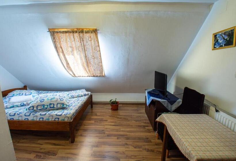 חדר סטנדרט, Pensiunea Viorica