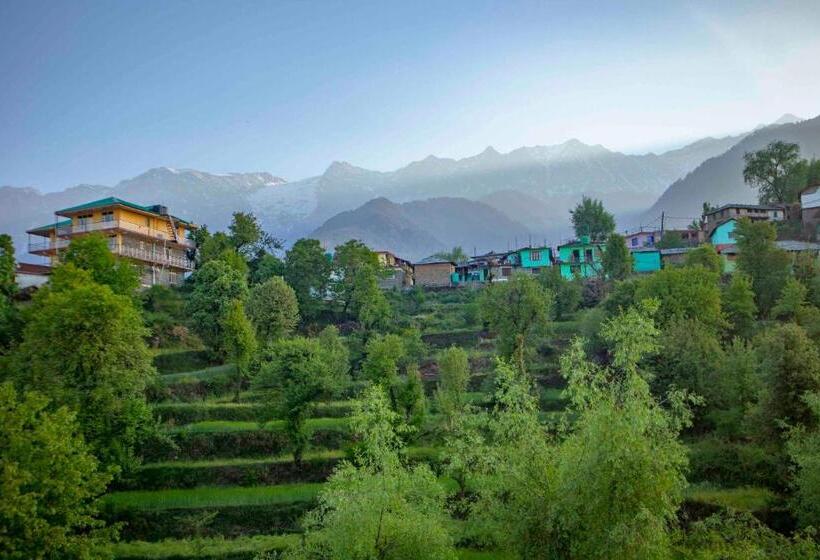 高级大房间, Bob S N Barley