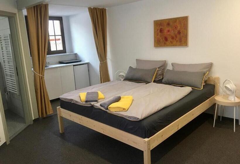 סטודיו סטנדרט, מיטה זוגית, Bio Kastanienhof Erfurt   Appartements Und Ayurvedische Jurten