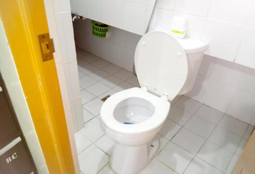 共用房间的床, 8hostel