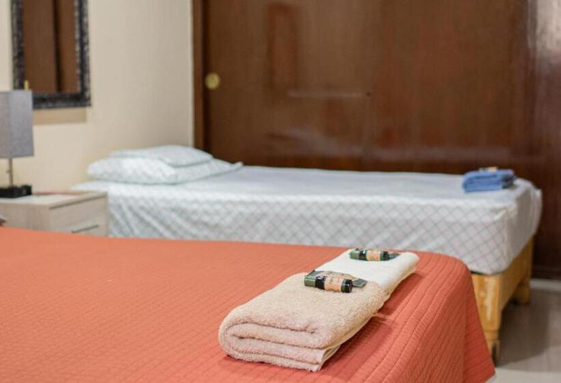 اتاق استاندارد, Hostal Encounter Guanajuato