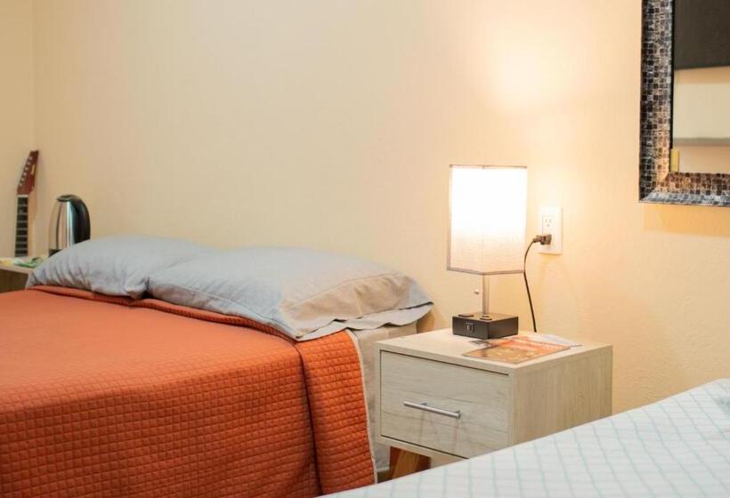 اتاق استاندارد, Hostal Encounter Guanajuato