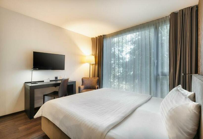 חדר סטנדרט עם מיטת קינג, B Smart Hotel Widnau