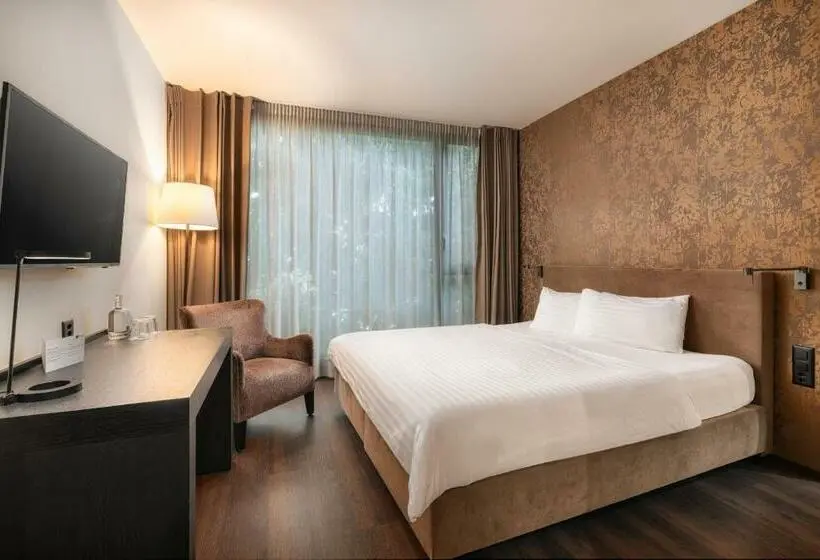 Standard-huone King-vuode, B Smart Hotel Widnau