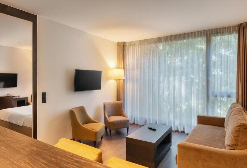 Полулюкс, B Smart Hotel Widnau