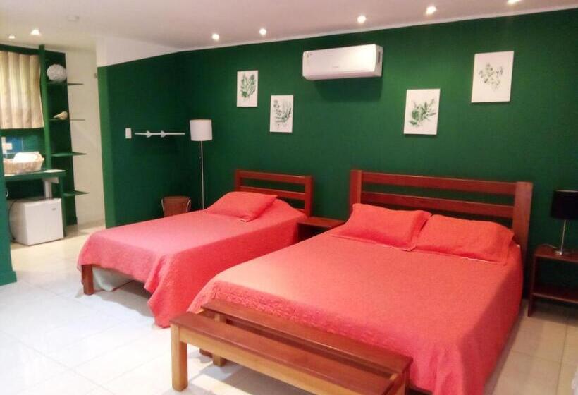 Стандартный Номер Кровать Кинг, Residence Las Lajas