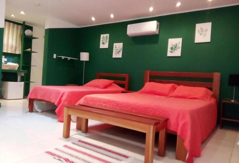 Стандартный Номер Кровать Кинг, Residence Las Lajas