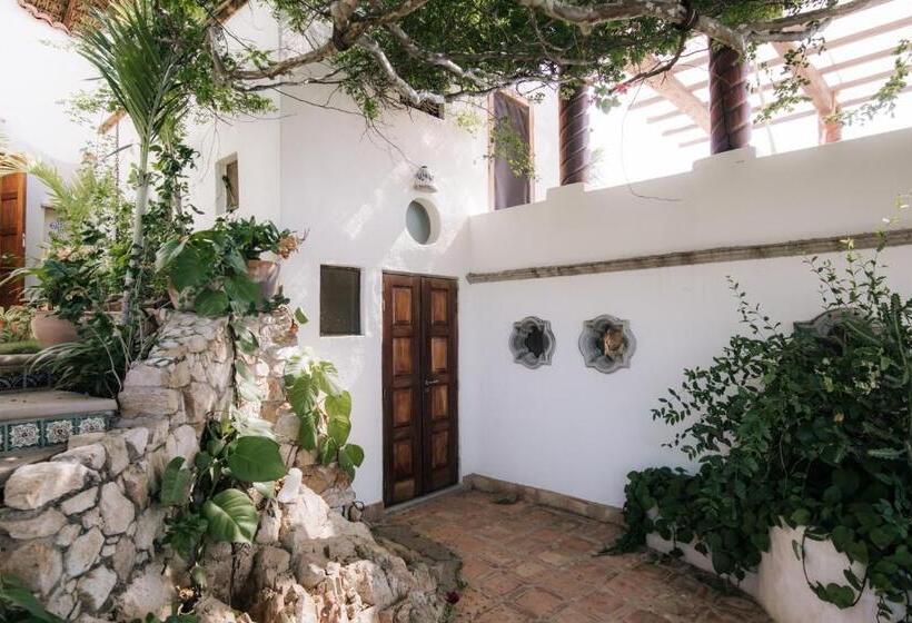 דירת חדר עם טרסה, Heven Residence