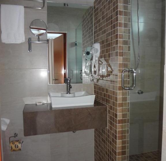 Номер Стандарт, Civic Express