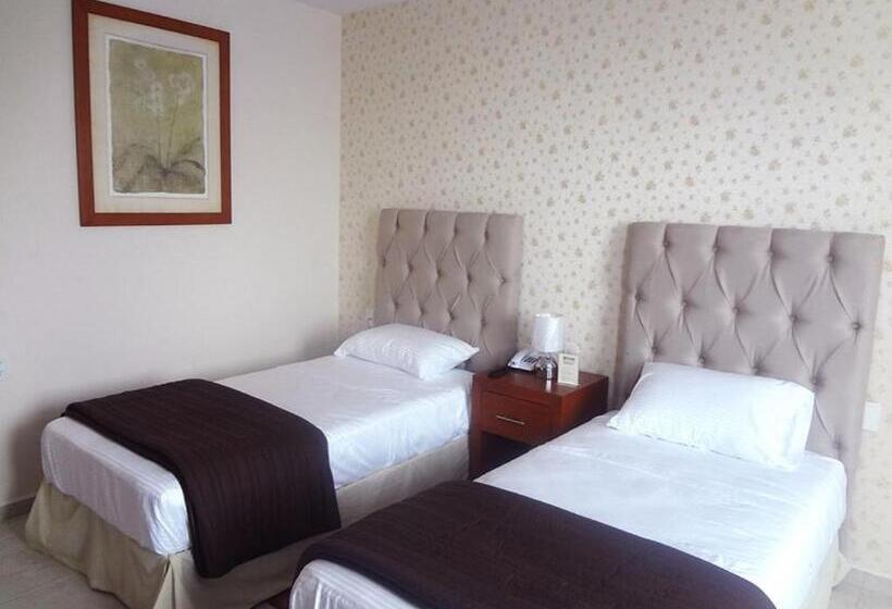 Номер Стандарт, Civic Express