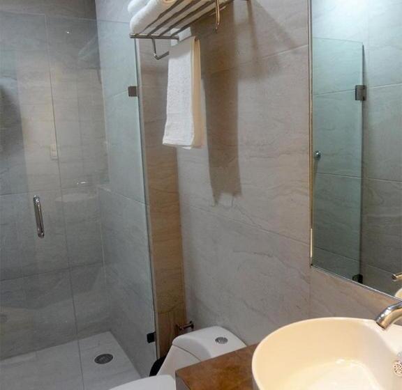 Номер Стандарт, Civic Express