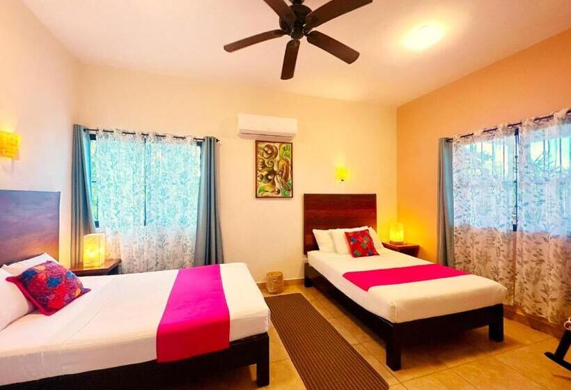 اتاق استاندارد با 2 تخت دوبل, El Roble