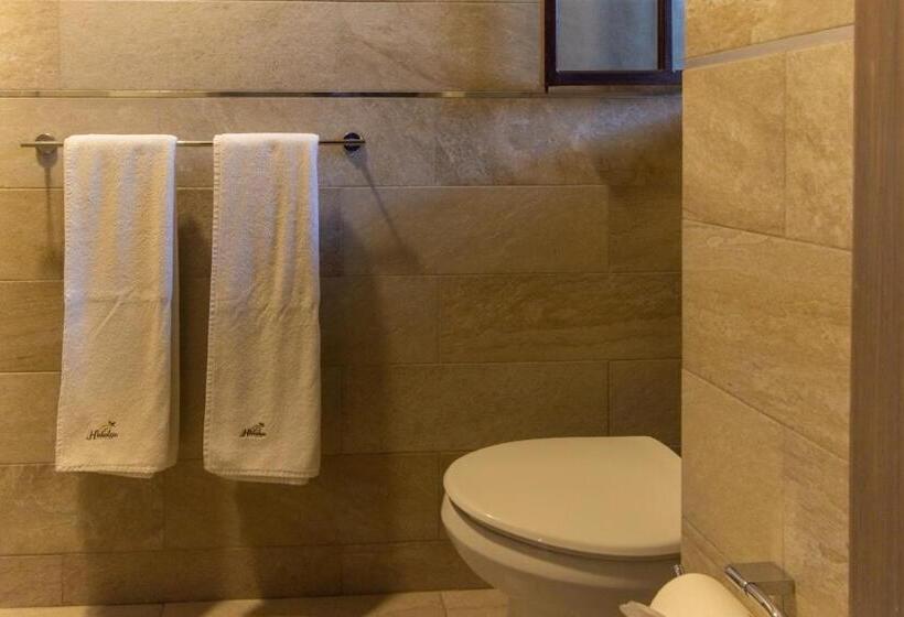 Номер Стандарт, Hidalgo