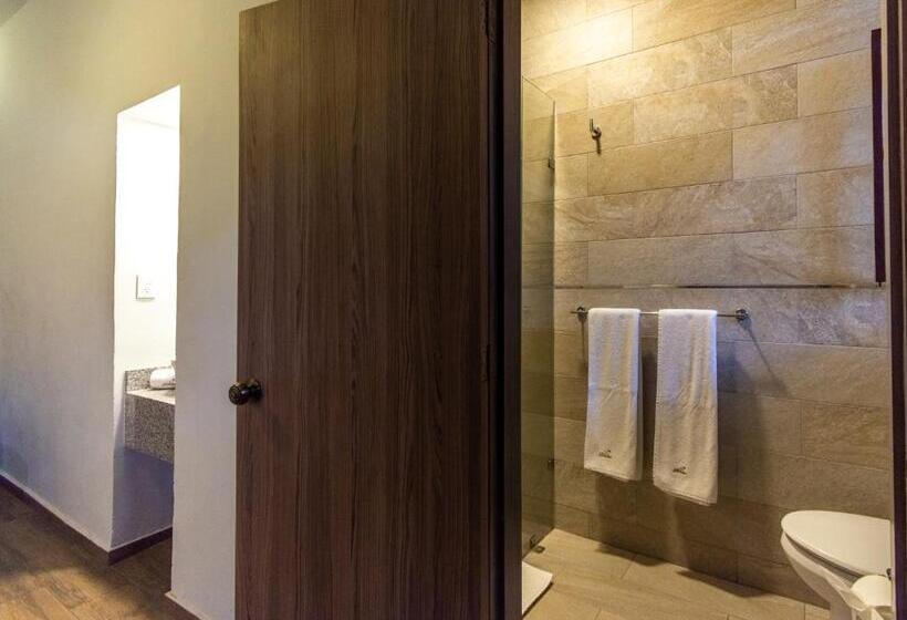 Номер Стандарт, Hidalgo