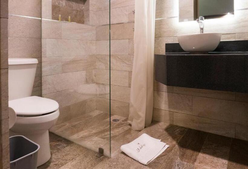 Номер Стандарт, Hidalgo