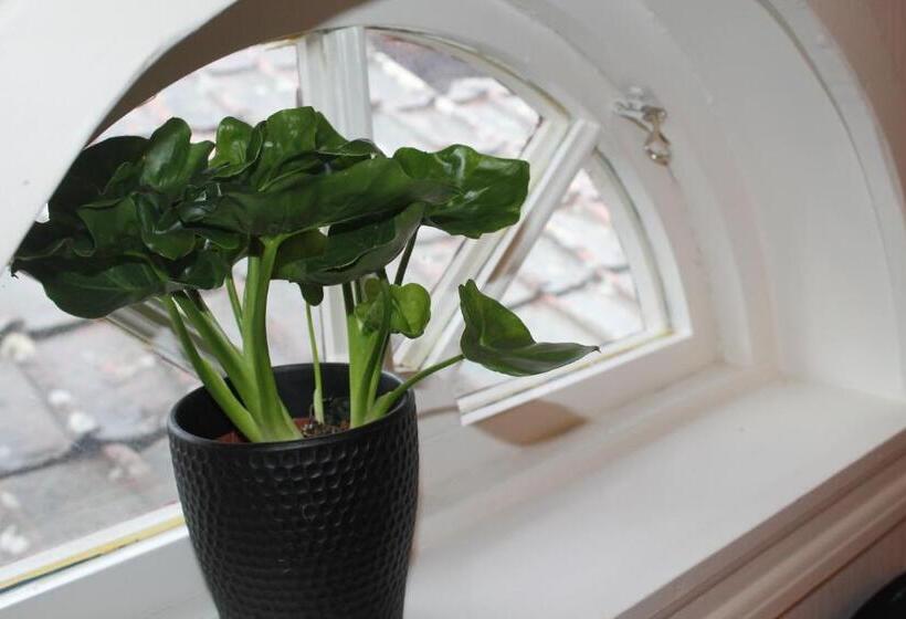 Номер Economy, L Mikaelsgården