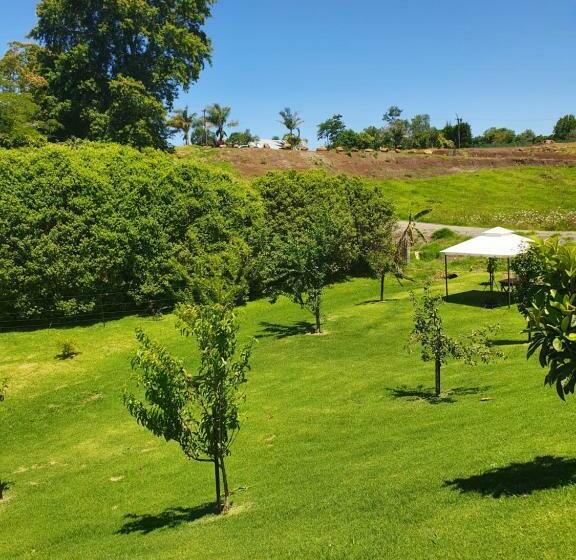 اتاق لوکس با تخت بزرگ, Kerikeri Blue Chair B&b