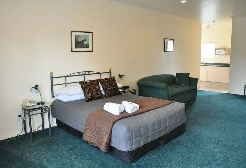 Executive-studio, O Reillys Motel