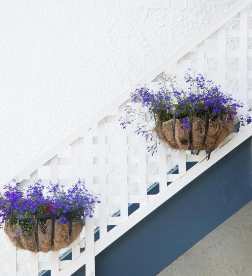 סטודיו דלוקס, Waimarie On Riverside Motel & Apartments