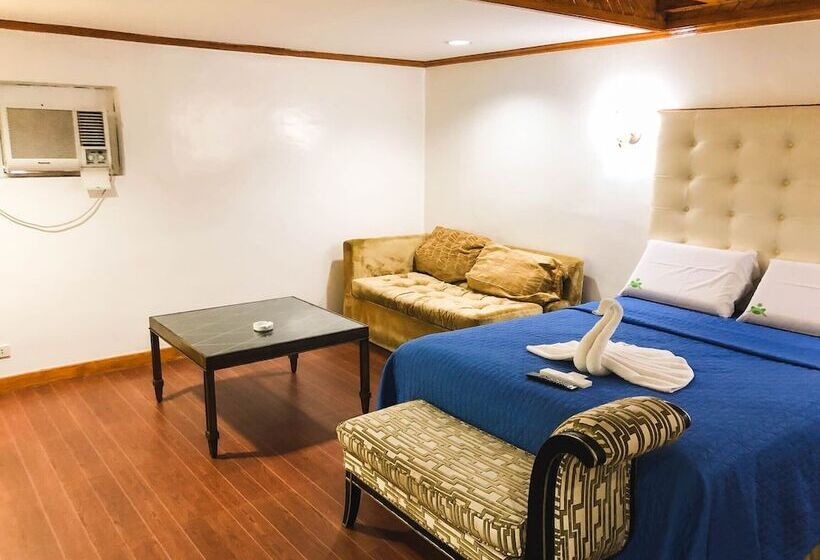 Cameră Standard, Town And Country Hotel V Mapa