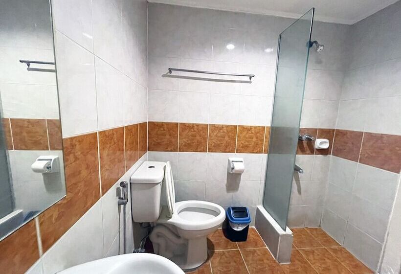 Cameră Standard, Town And Country Hotel V Mapa